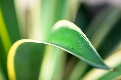 3DM速报：《战地2042》蝉联周销榜 动视暴雪CEO搞不定会考虑离开